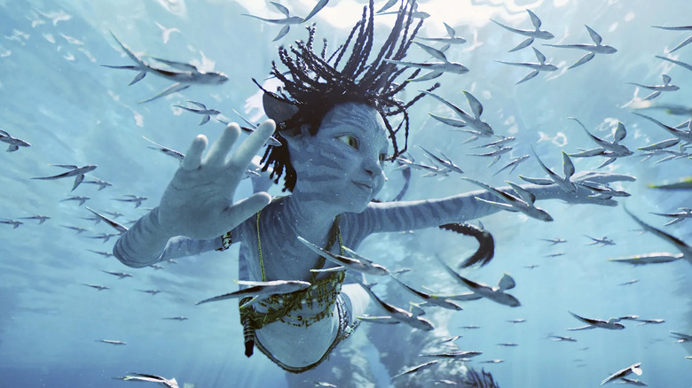 Tuk swims around fish
