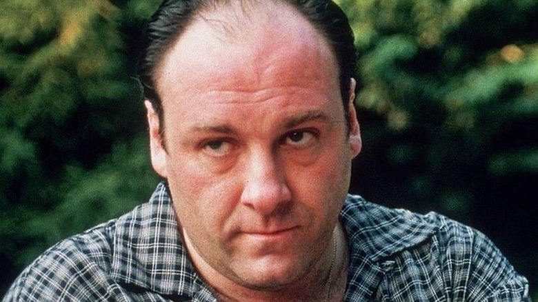 Tony Soprano looking annoyed