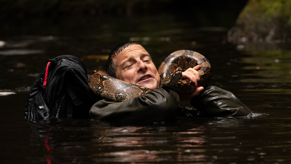 Bear Grylls boa constrictor