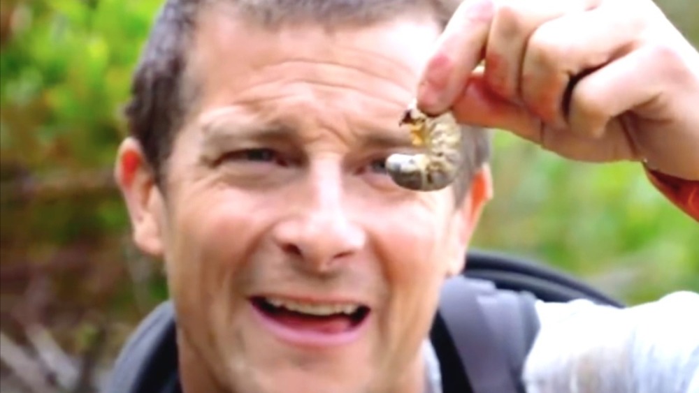 Bear Grylls holding grub