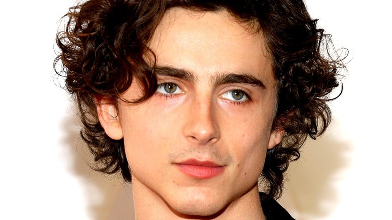 Timothée Chalamet at an event