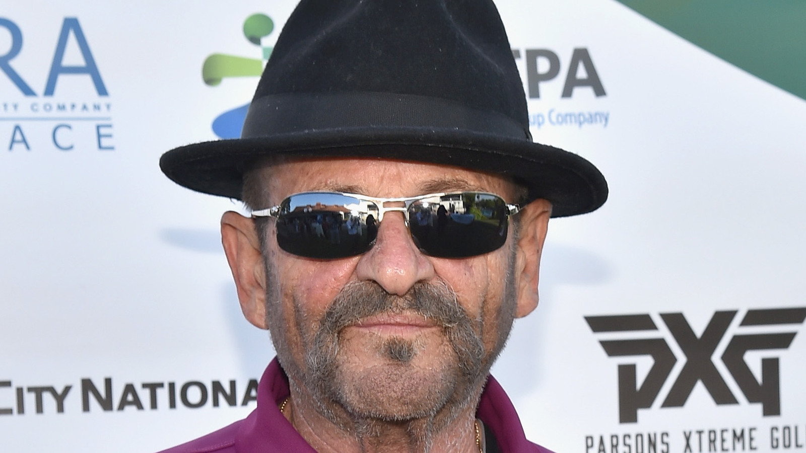 The Joe Pesci TV Series You Never Knew Existed
