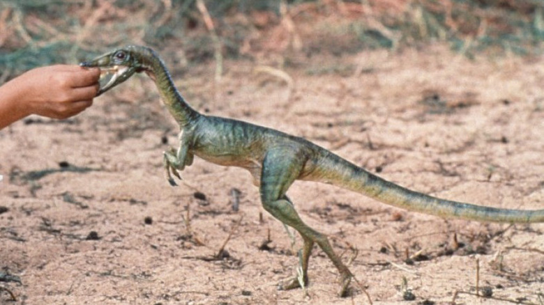 Compsognathus from The Lost World: Jurassic Park