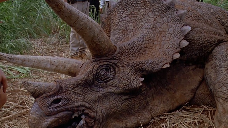 Triceratops in Jurassic Park
