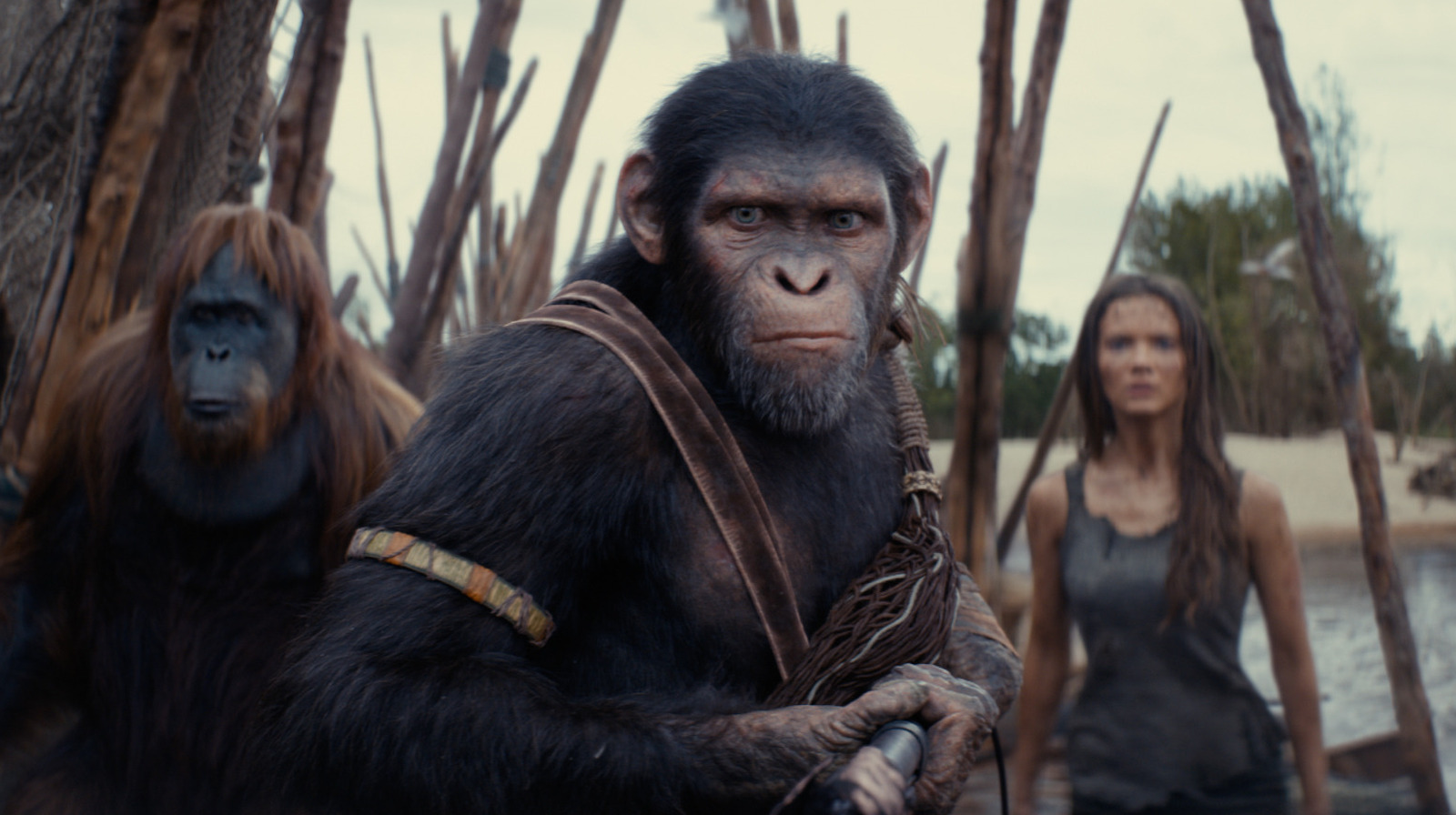 У актеров «Королевства планеты обезьян» возникла очень странная проблема после игры в шимпанзе