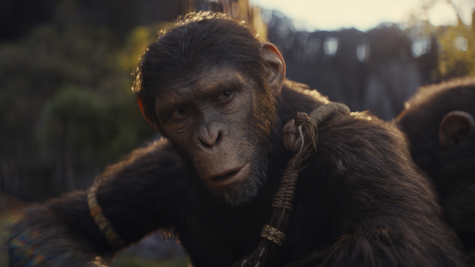 Kingdom Of The Of The Apes Debuts A Dangerous Franchise First