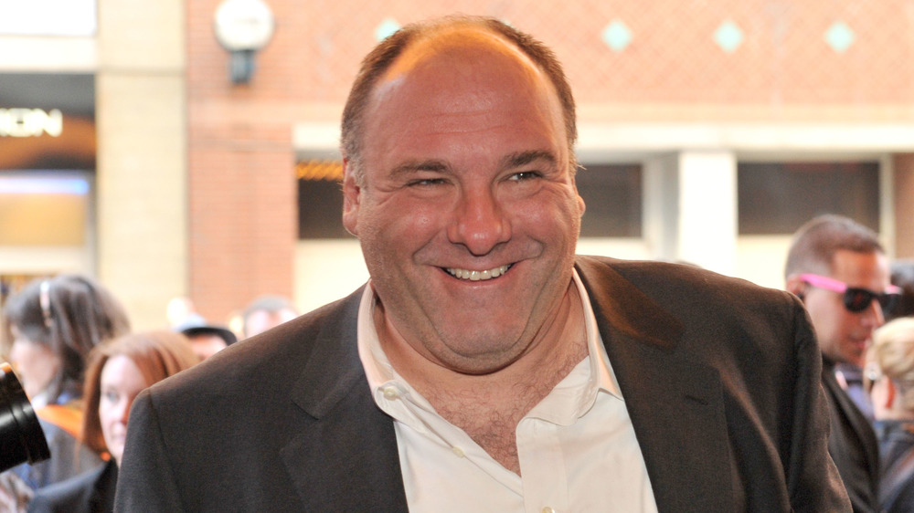 James Gandolfini walking the red carpet at a premiere event