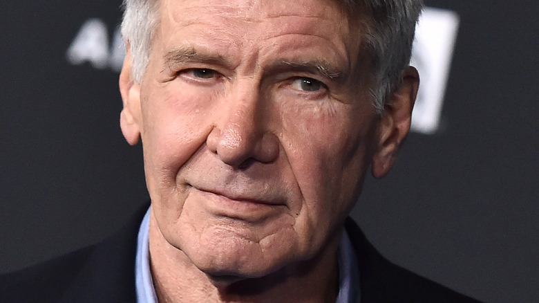 Harrison Ford looks at camera