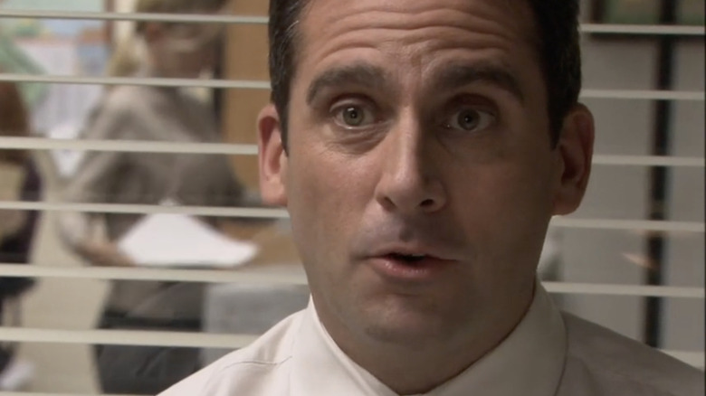 Michael Scott in front of blinds
