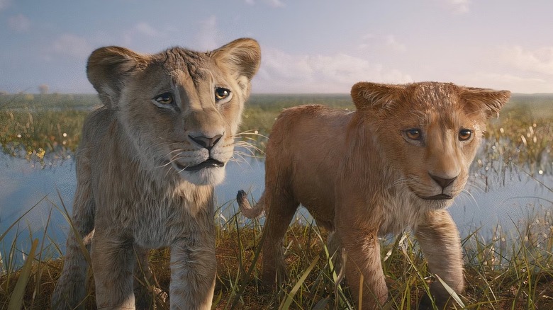 Taka and Mufasa as cubs by a river in 