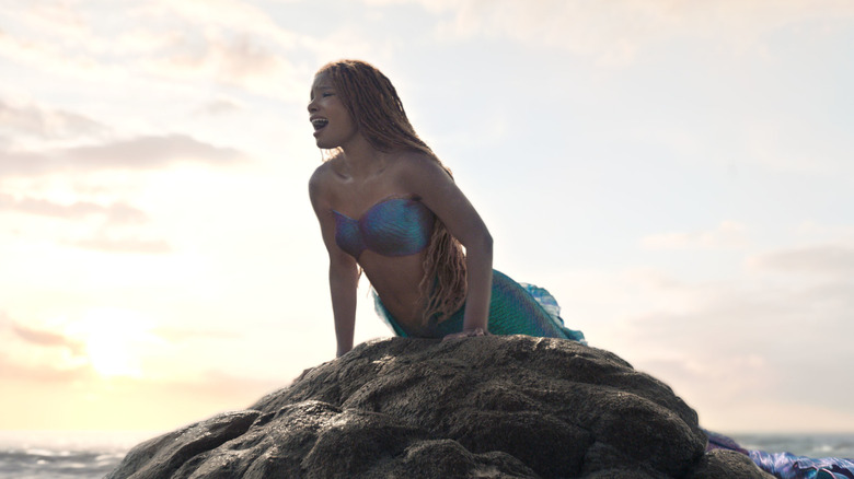 Ariel singing on a rock 