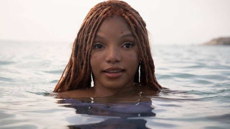 Ariel looking over the water