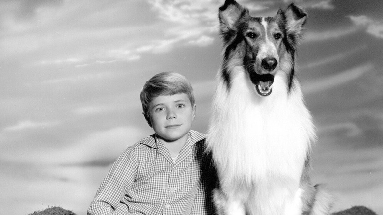 Lassie publicity still