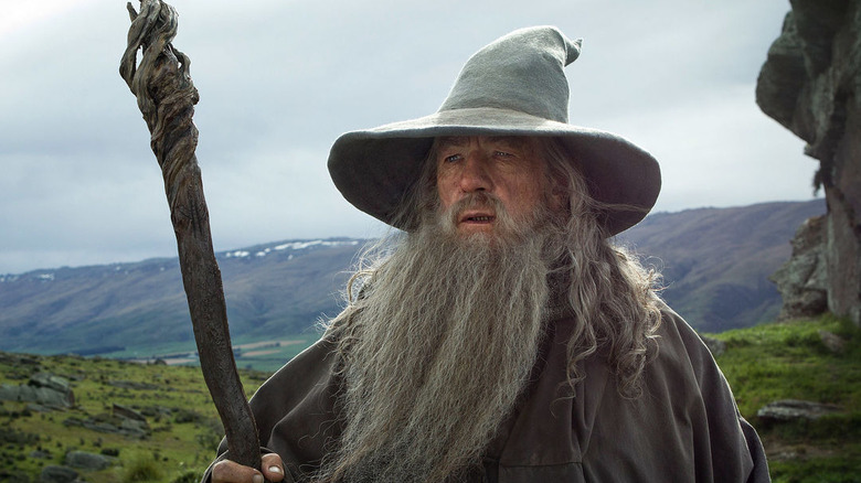Gandalf the Grey