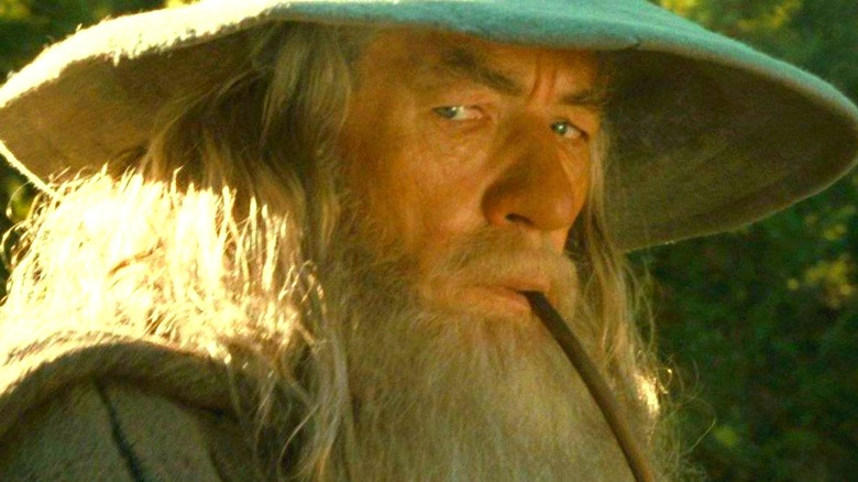 Ian McKellen as Gandalf