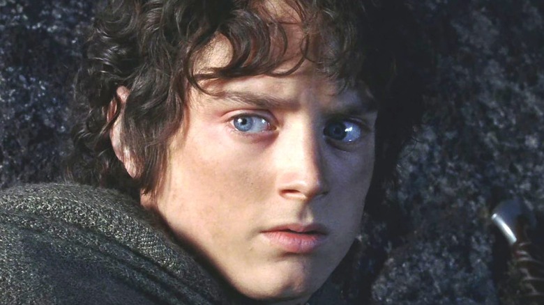 Elijah Wood as Frodo Baggins