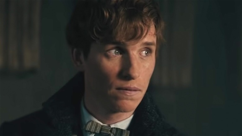 Newt Scamander plotting