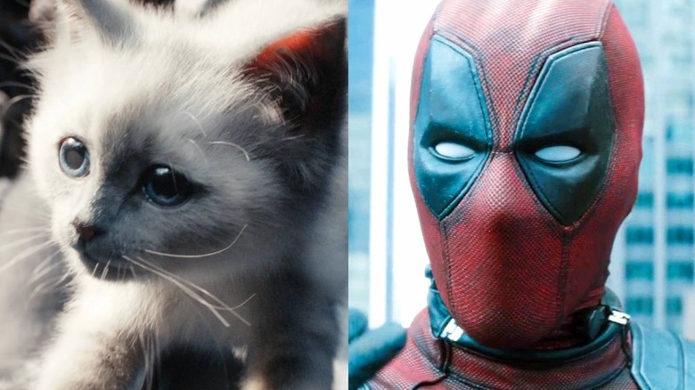 Cat and Deadpool