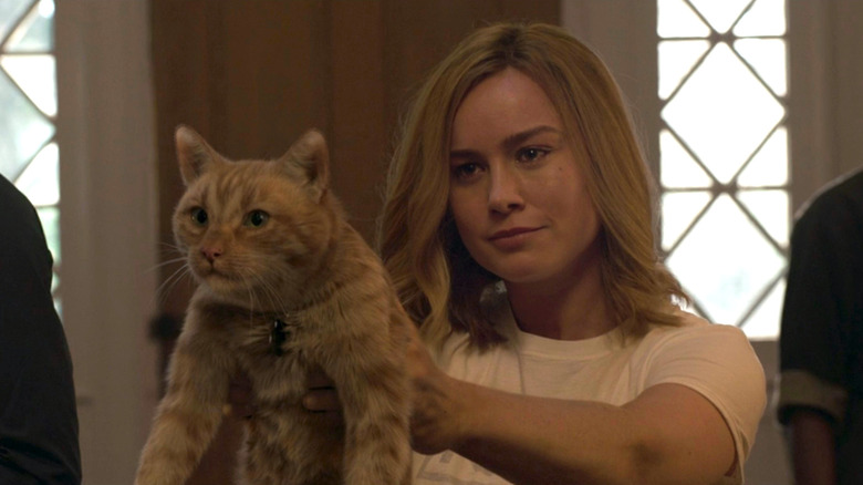 Carol Danvers holds Goose