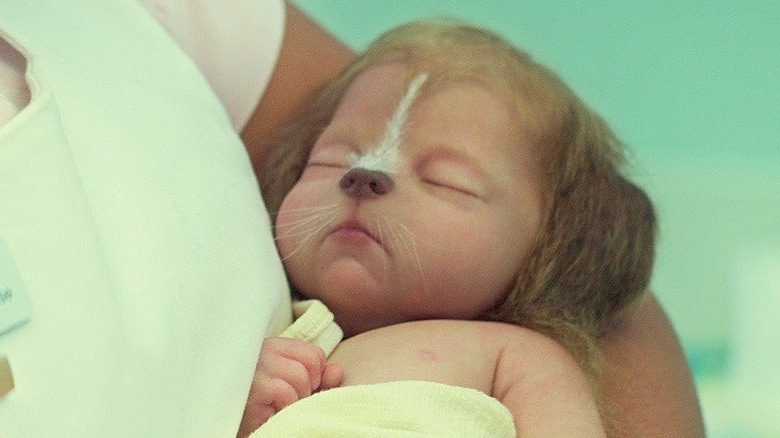 A baby hybrid shown being held