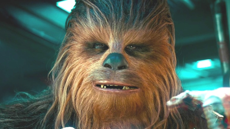 Chewbacca looking into camera