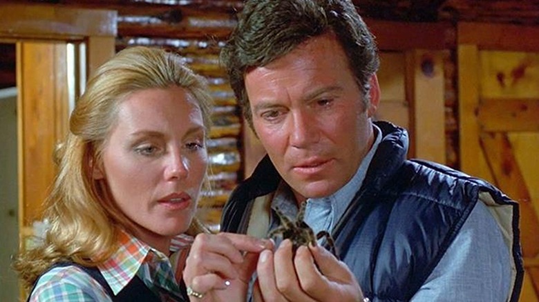 Kingdom of the Spiders