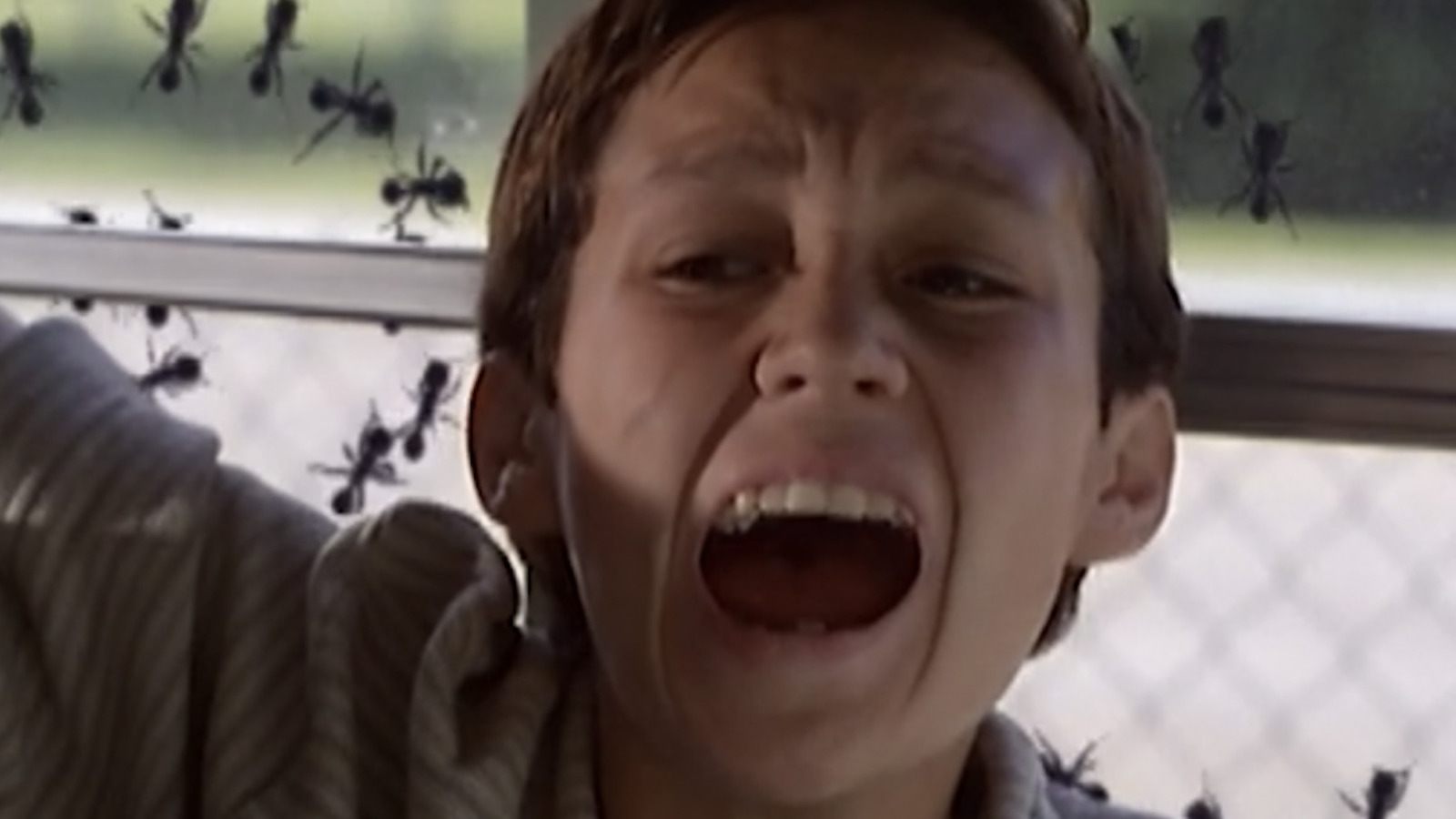 The Most Bizarre Horror And SciFi Movies About Insects From Around The