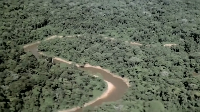 Cannibal Holocaust jungle