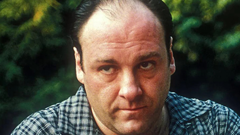 James Gandolfini on "The Sopranos"