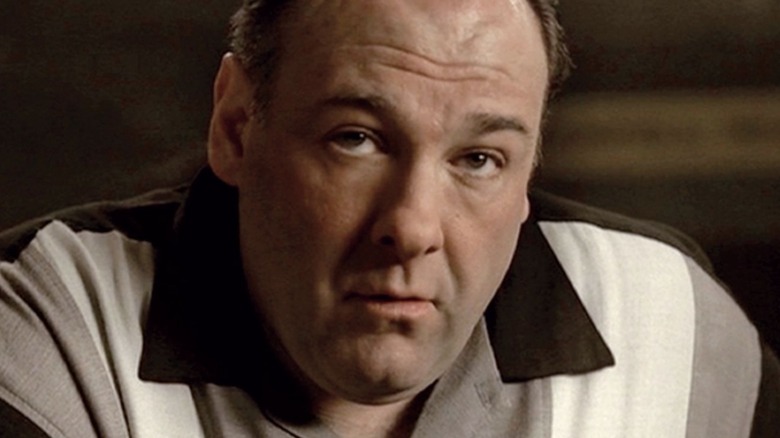 Tony Soprano looks up