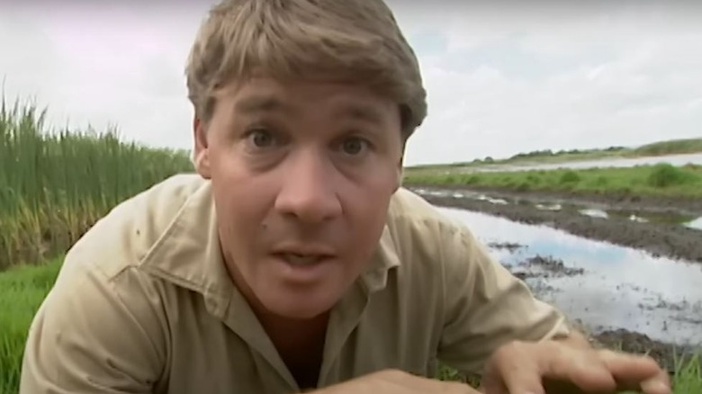 Steve Irwin speaking