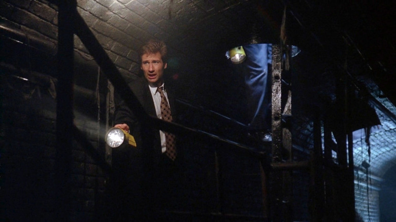 Mulder investigating