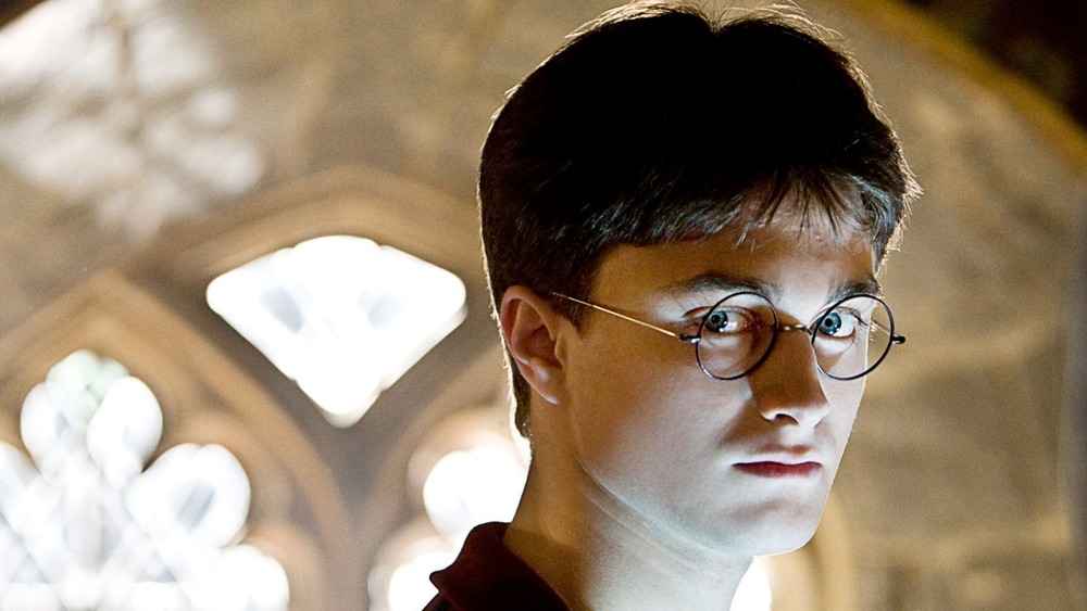 Daniel Radcliffe as Harry Potter