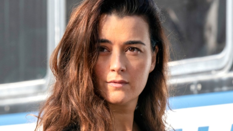 Cote de Pablo as Ziva David