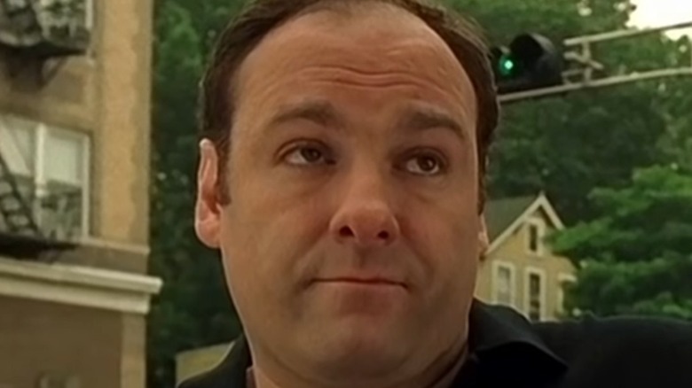 James Gandolfini as Tony Soprano 