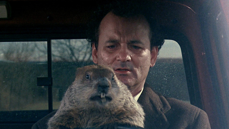 Bill Murray in Groundhog Day