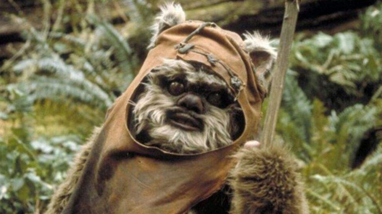 Warwick Davis as Wicket W. Warrick in Return of the Jedi