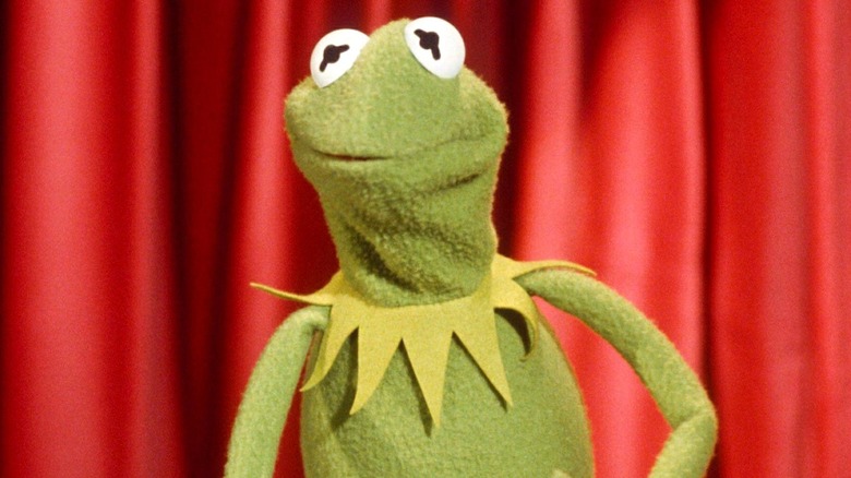 Tight close-up on Kermit the Frog's face