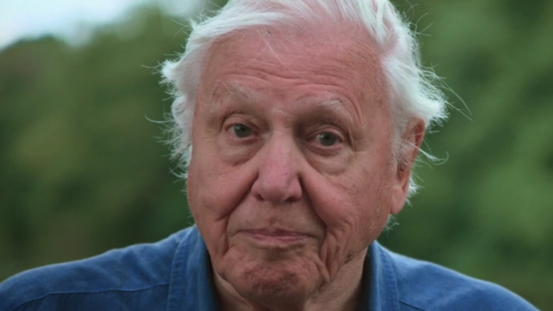 David Attenborough in Life in Color