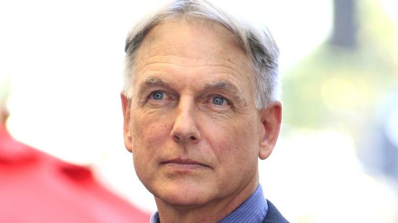 Mark Harmon close-up