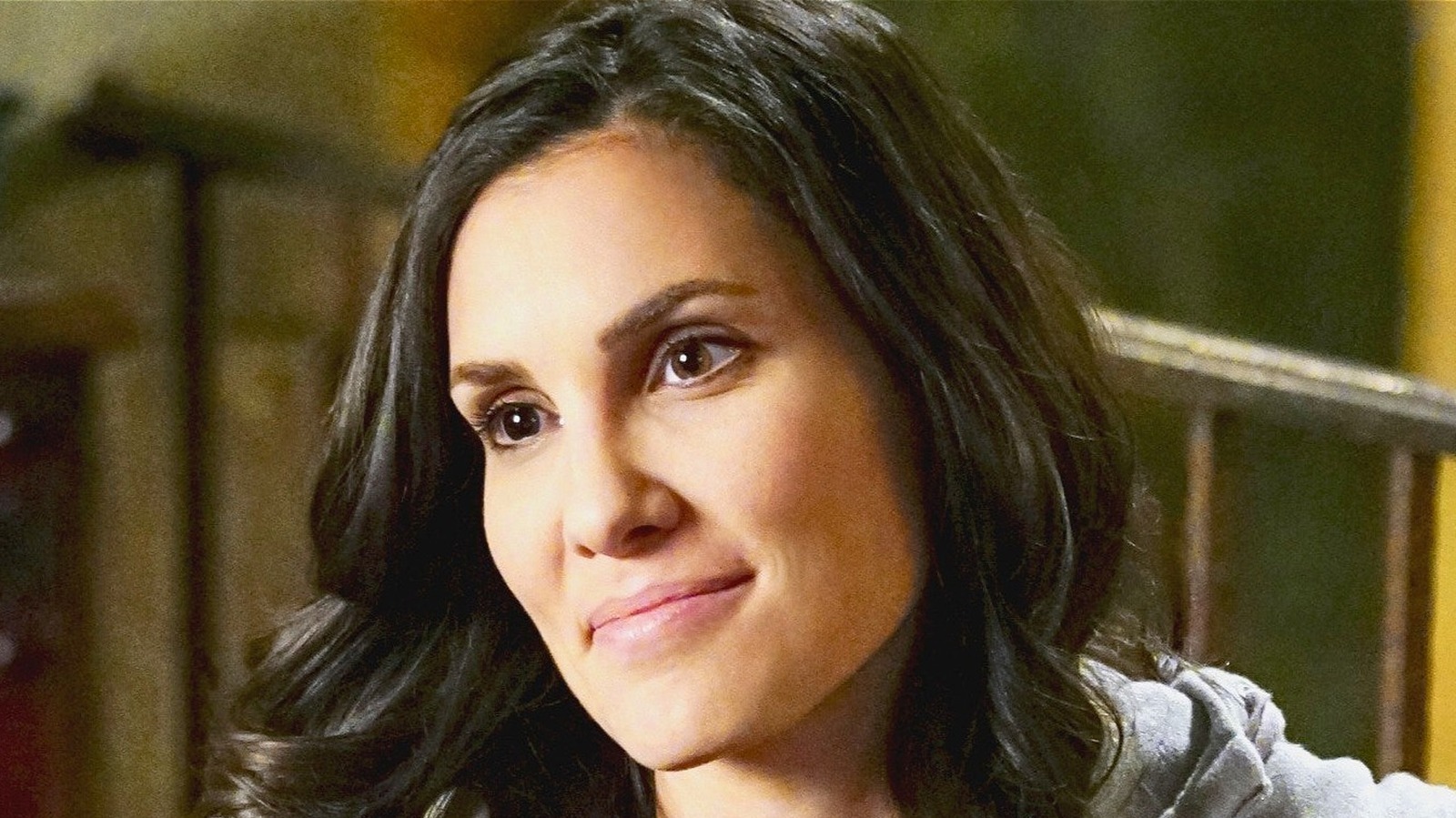 The NCIS: Los Angeles Episodes You Likely Didn't Know Daniela Ruah Directed
