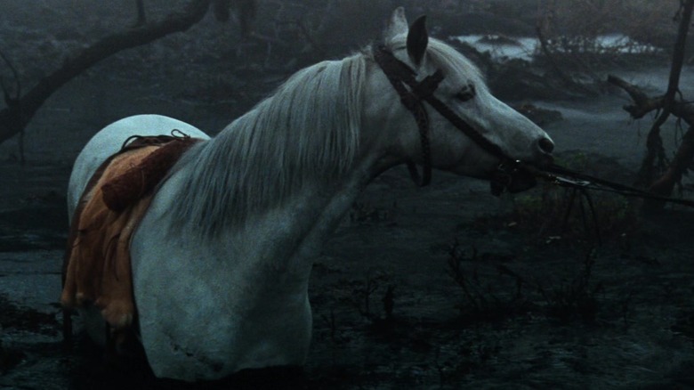 Artax sinks into the mud