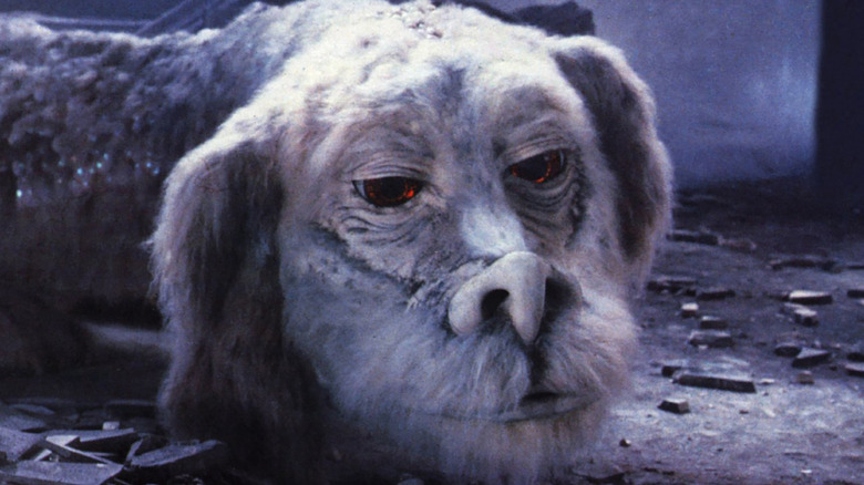 Falkor tired