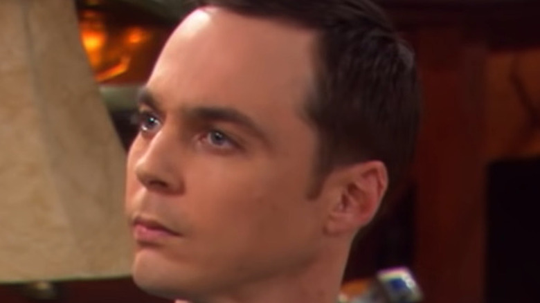 Sheldon Cooper in "The Big Bang Theory"
