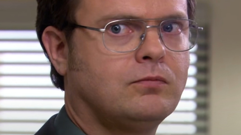 Dwight Schrute from "The Office"