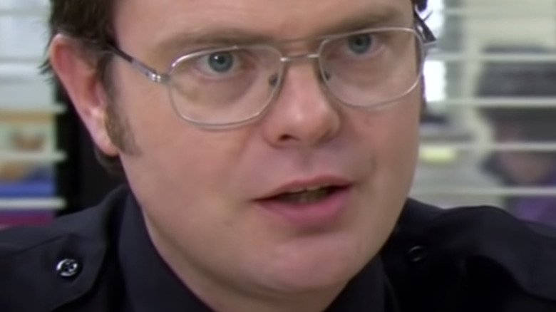 Rainn Wilson as Dwight K. Schrute