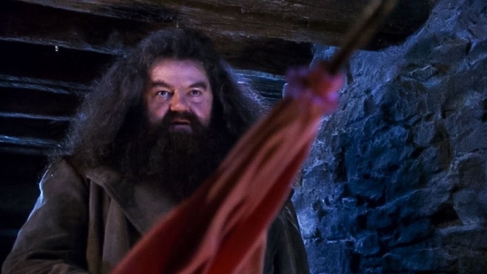 Robbie Coltrane Rubeus Hagrid umbrella