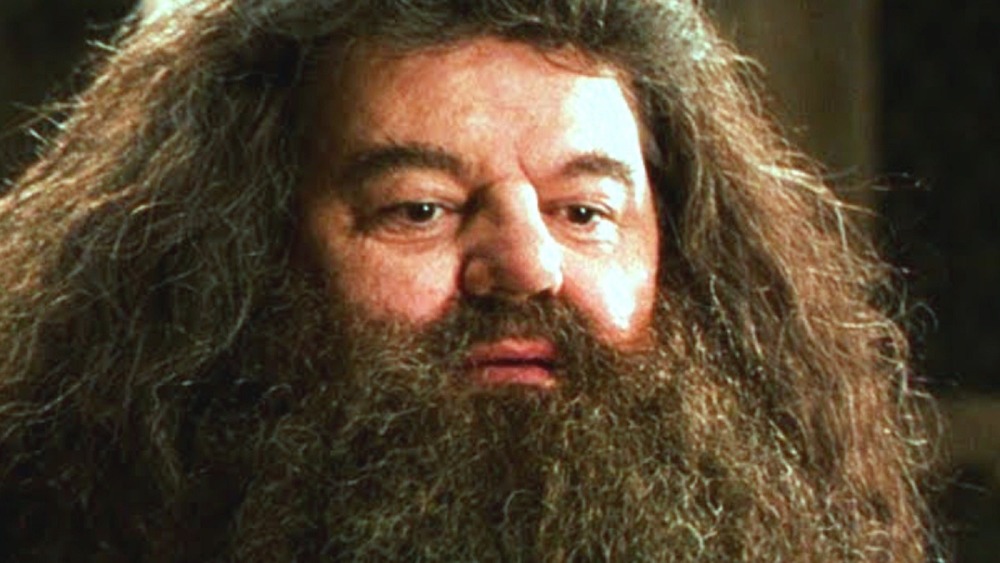 Rubeus Hagrid Robbie Coltrane