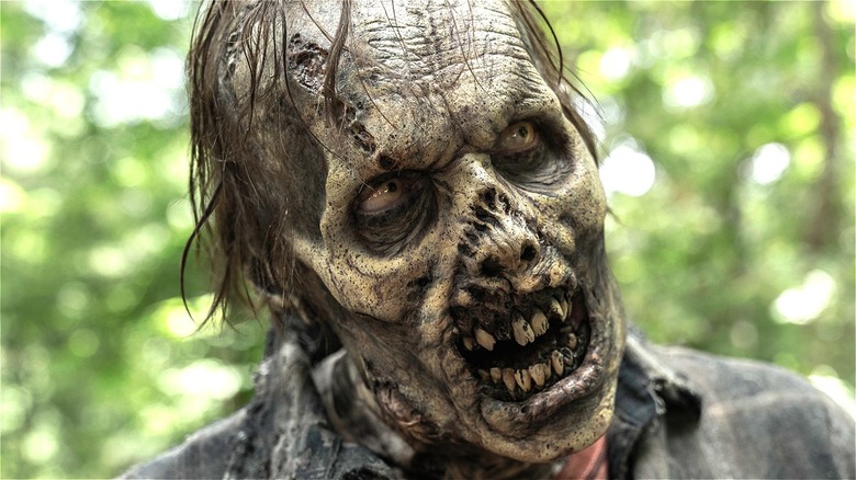 Zombie in "The Walking Dead"