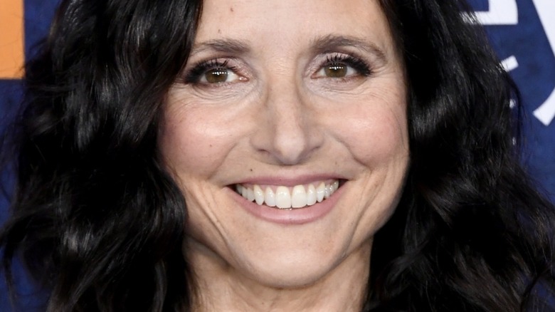 Close-up of Julia Louis-Dreyfus